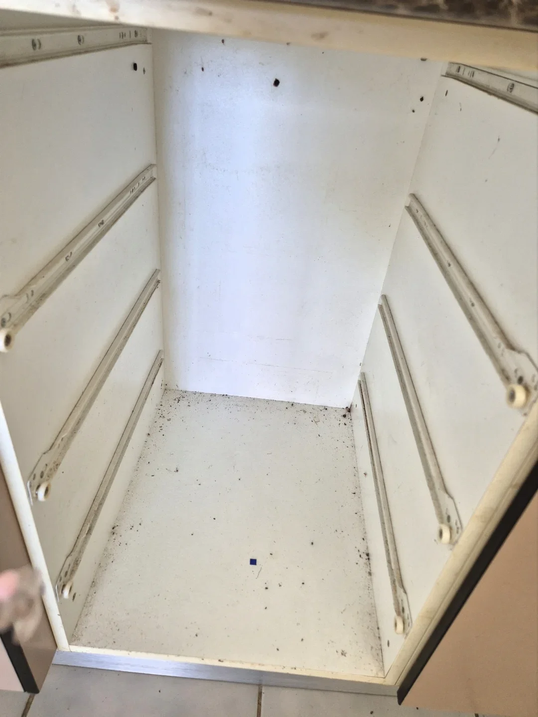 Wardrobe interior before cleaning